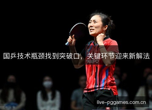 国乒技术瓶颈找到突破口,关键环节迎来新解法 国乒技术瓶颈找到突破口,关键环节迎来新解法